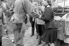 jonction troupe US et Russe 1945 