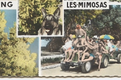 carte postale Camping Les Mimosas