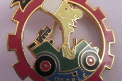 insigne section transport 13 DBLE