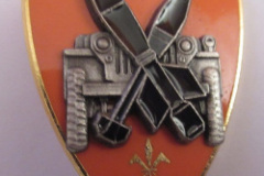 insigne CEA