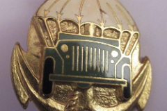 insigne du 8 RPIMA SER