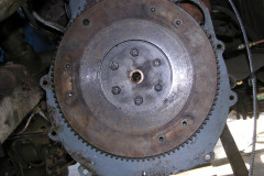 afz
