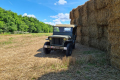 Jeep Hotchkiss Willys M201
