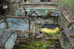 Jeep Willys n°288001