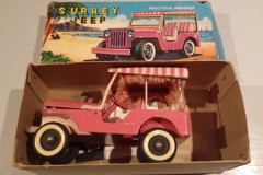 cIMG_20251111_171456