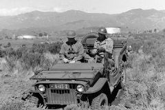 Jeep Willys SLAT Grill