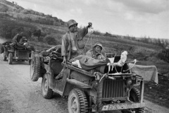 Jeep Willys SLAT Grill