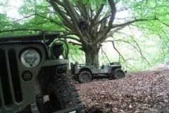 Sortie TT mai 2009