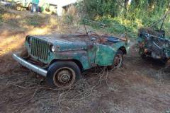 Willys et Ford en vrac