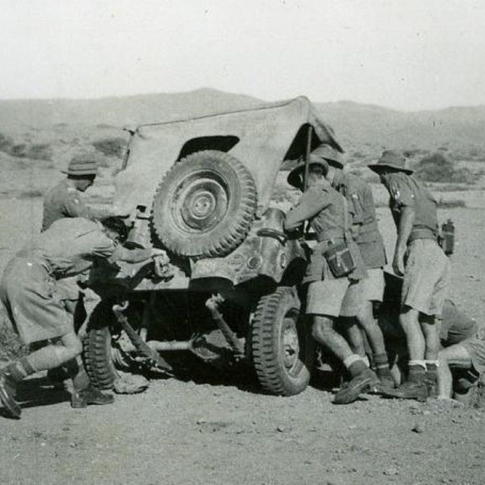 Entrez dans le monde de la jeep !