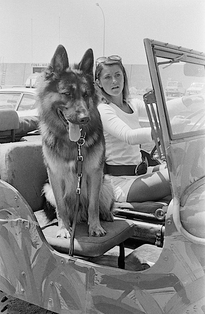 Sheila et Rintintin